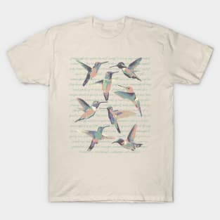 Hummingbird Info T-Shirt